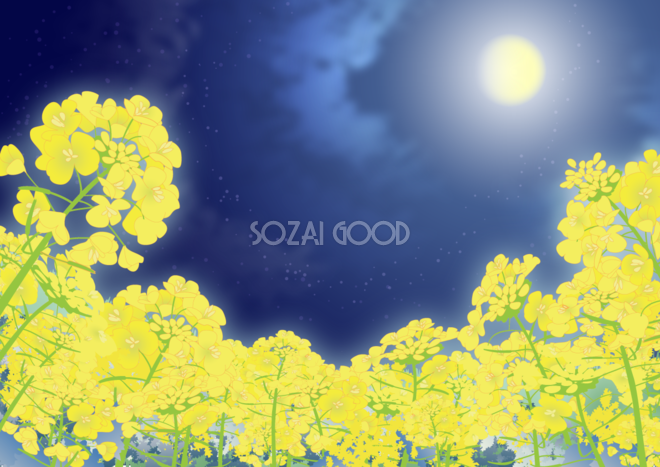 菜の花畑と朧月夜の背景無料イラスト65570 素材good