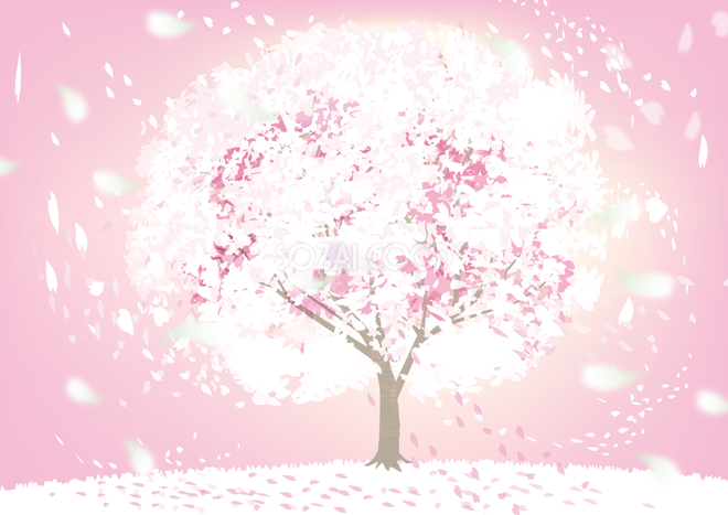 リアルな桜の木から舞う白色の桜吹雪の背景無料イラスト65586  素材Good