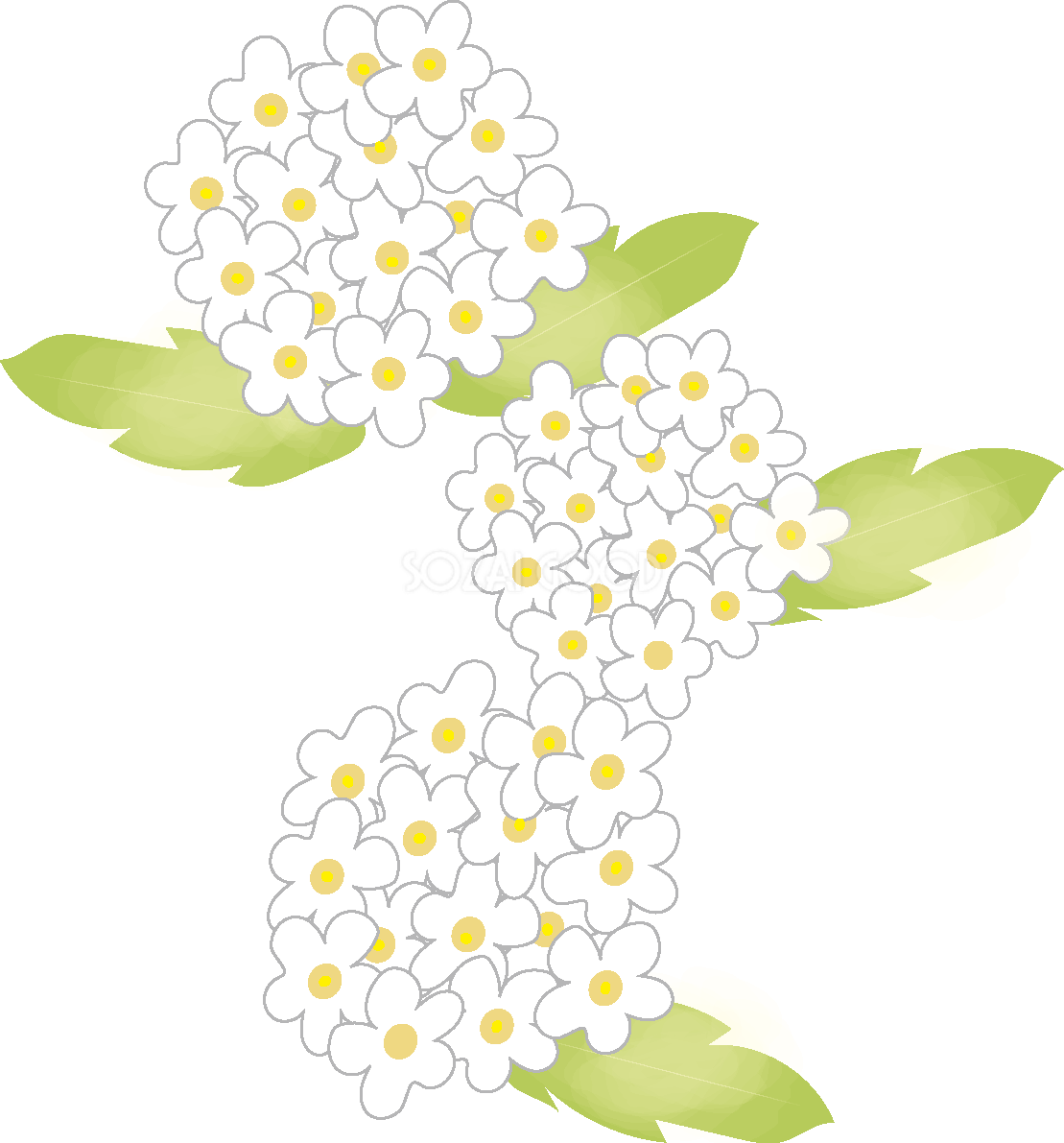 小手毬(こでまり)【花の無料イラスト】春(4月-5月)66944