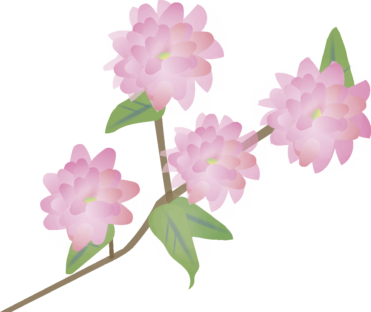 庭桜(にわざくら)【花の無料イラスト】春(4月)66976に写真・文字を入れる