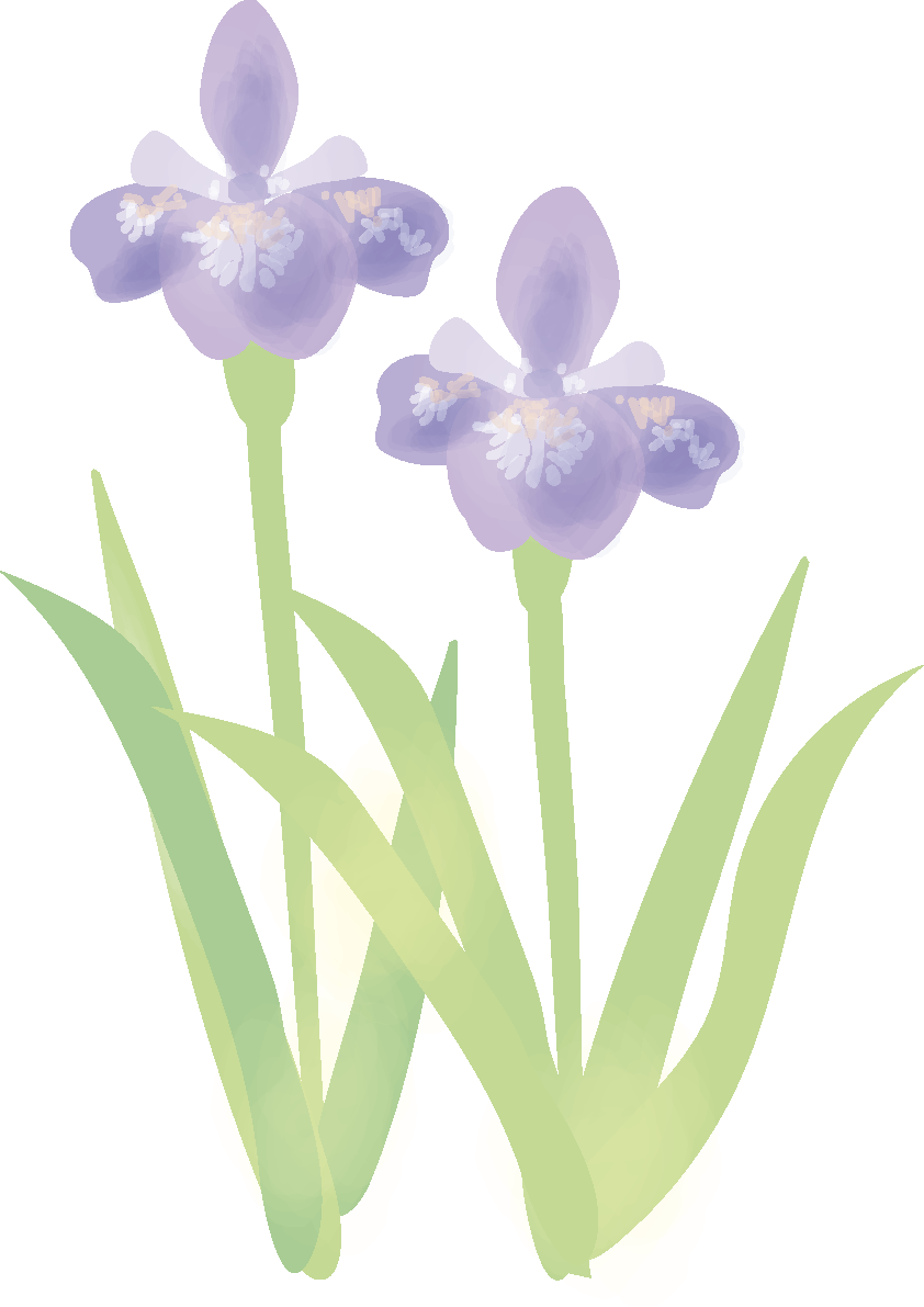 文目(あやめ)【花の無料イラスト】春(4月-5月）67021に写真・文字を入れる
