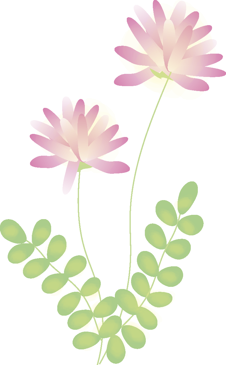 蓮華草(れんげそう)【花の無料イラスト】春(4月-5月)67041に写真・文字を入れる