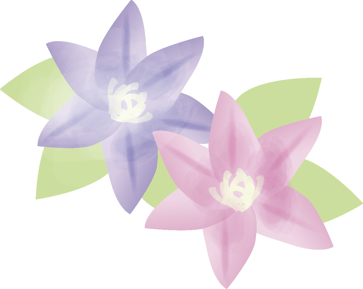 クレマチス 花の無料イラスト67070に写真・文字を入れる