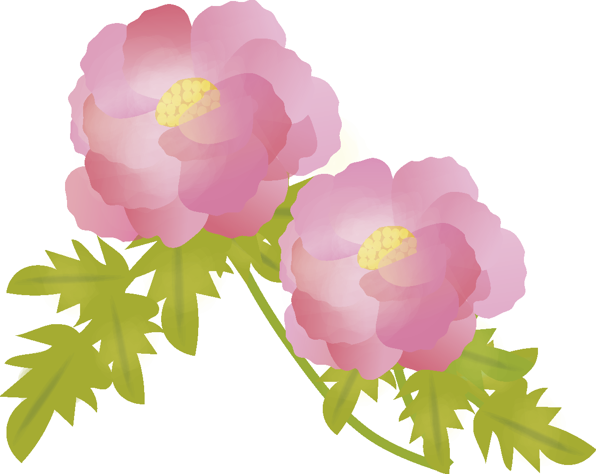 牡丹(ぼたん)【花の無料イラスト】春(4月-5月)67106に写真・文字を入れる