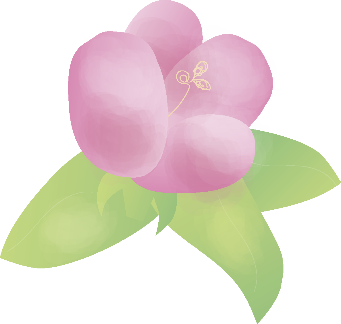 花梨(かりん)【花の無料イラスト】春(4月)67126に写真・文字を入れる