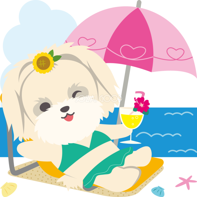 パラソルの下でマルチーズ 犬 夏の海開き かわいい動物無料イラスト 素材good