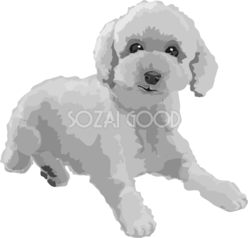 トイプードルの白黒モノクロでかっこいい犬の無料イラスト68003