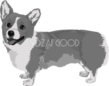 コーギーの白黒モノクロでかっこいい犬の無料イラスト68019