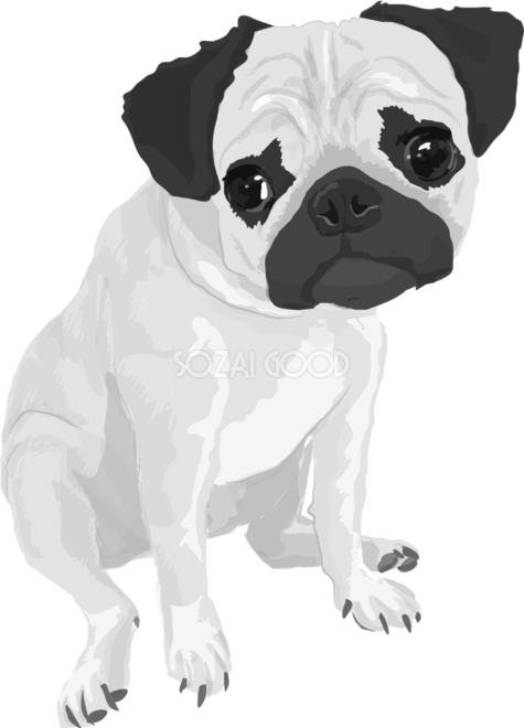 パグの白黒モノクロでかっこいい犬の無料イラスト 素材good