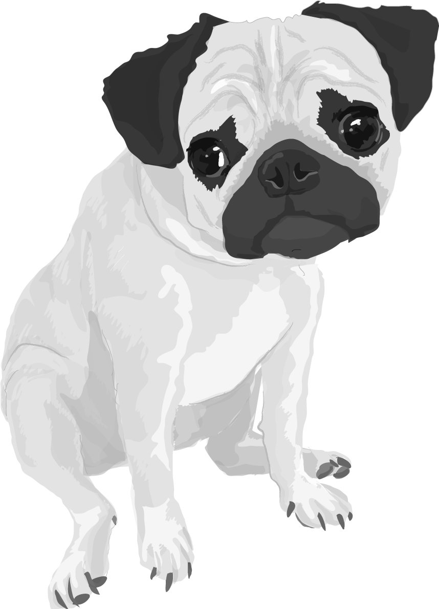 パグの白黒モノクロでかっこいい犬の無料イラスト68023に写真・文字を入れる