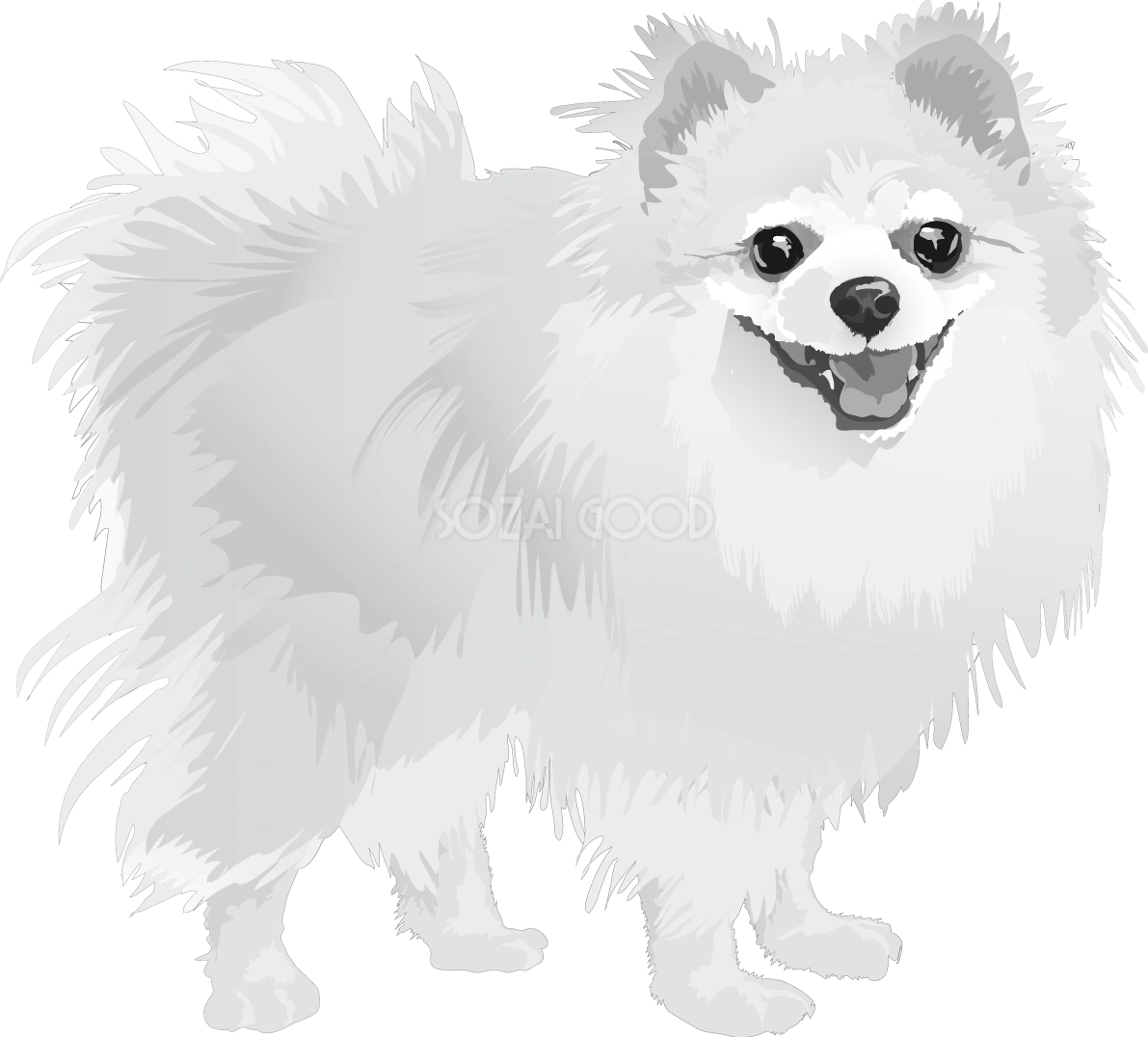 ポメラニアンの白黒モノクロでかっこいい犬の無料イラスト68027