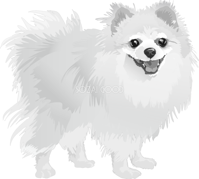 ポメラニアンの白黒モノクロでかっこいい犬の無料イラスト 素材good
