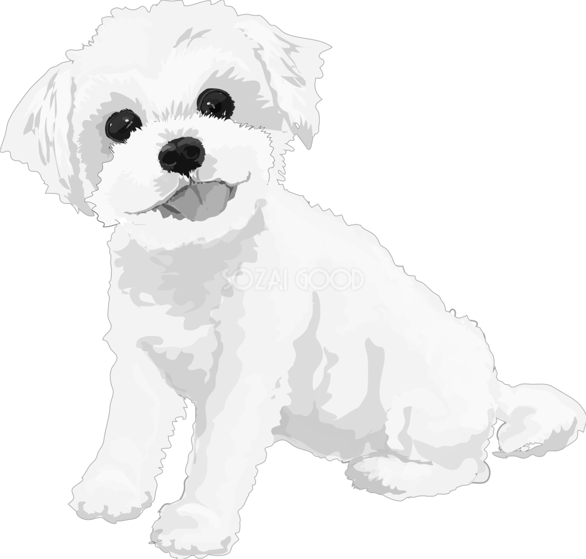 マルチーズの白黒モノクロでかっこいい犬の無料イラスト68043
