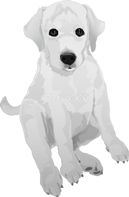 ゴールデン レトリーバーの白黒モノクロでかっこいい犬の無料イラスト