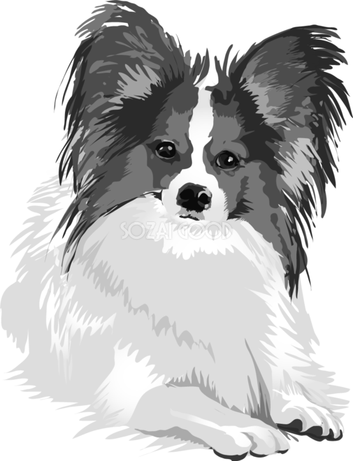 パピヨンの白黒モノクロでかっこいい犬の無料イラスト68055 素材good