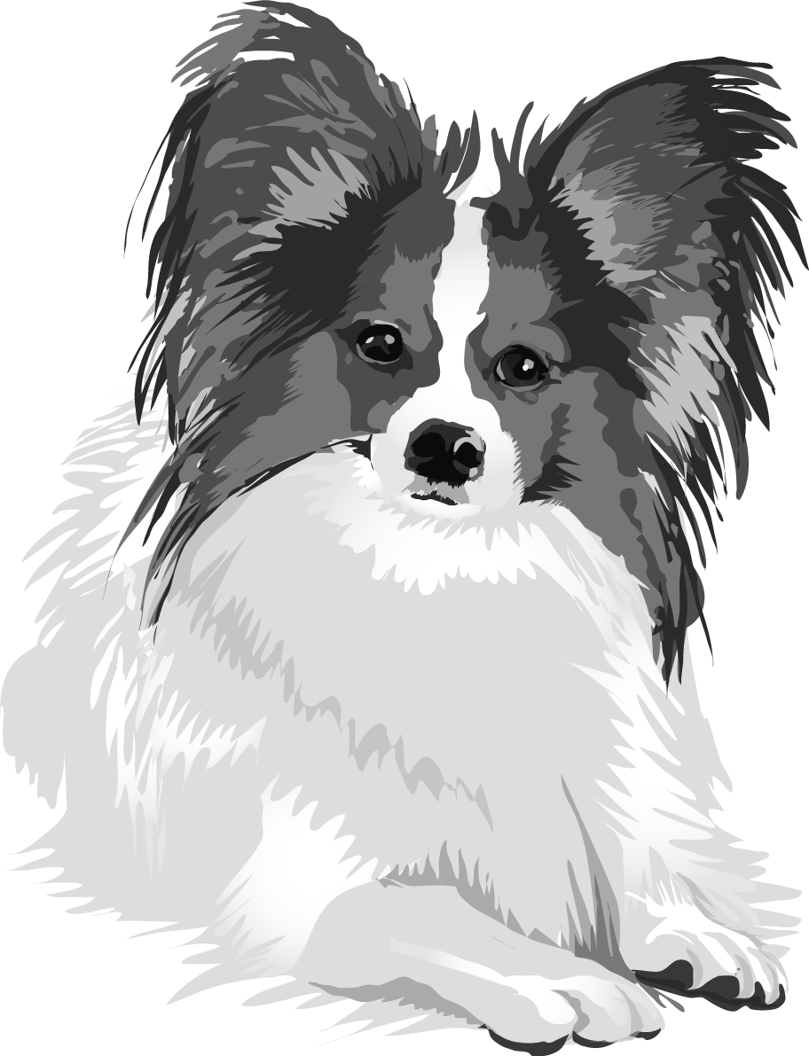 パピヨンの白黒モノクロでかっこいい犬の無料イラスト68055に写真・文字を入れる