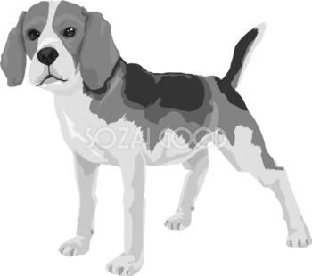 ビーグルの白黒モノクロでかっこいい犬の無料イラスト68059