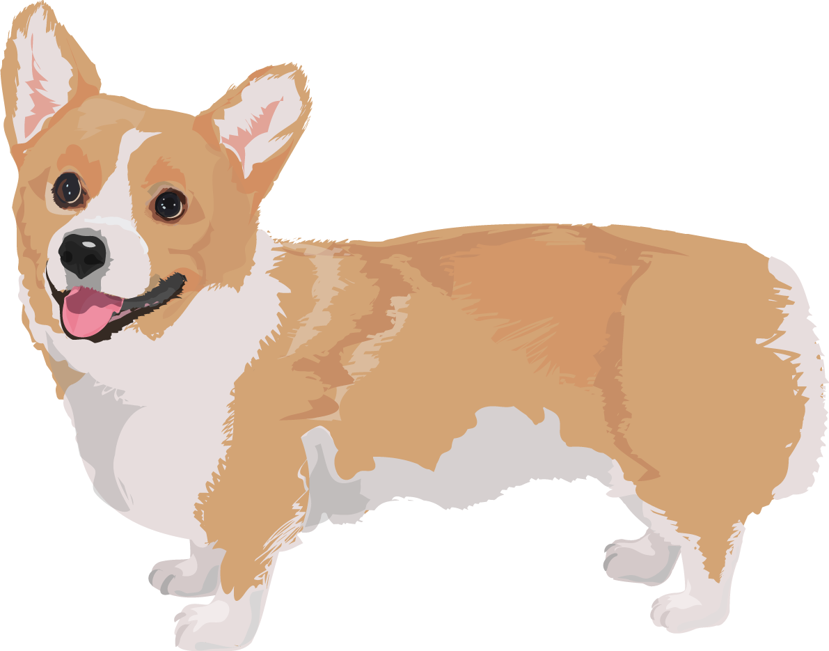 コーギーのリアルな犬の無料イラスト68091に写真・文字を入れる