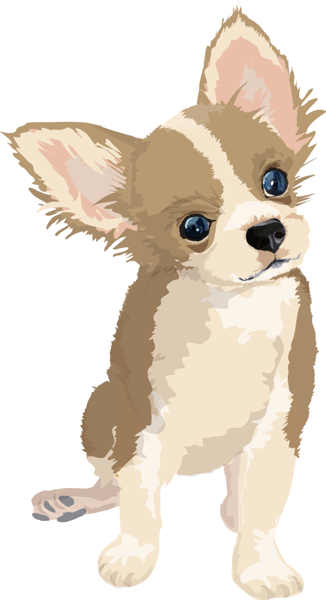チワワのリアルな犬の無料イラスト68103に写真・文字を入れる