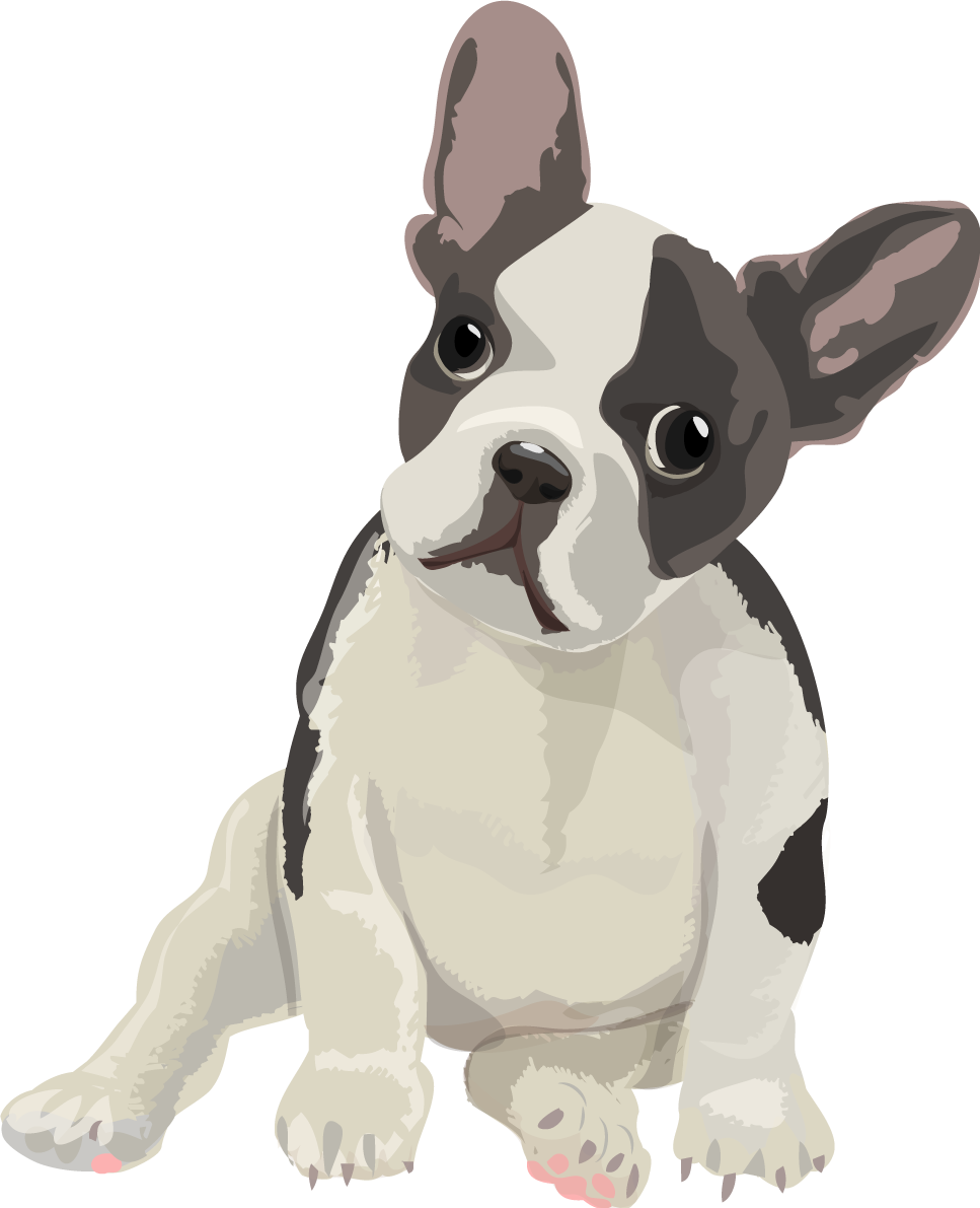 フレンチブルのリアルな犬の無料イラスト68123に写真・文字を入れる