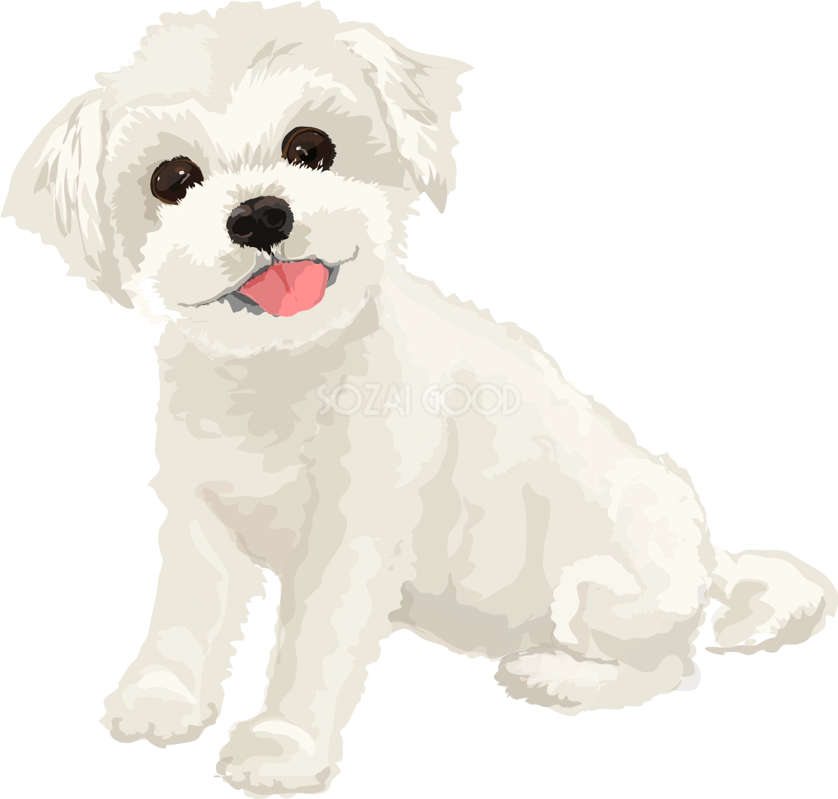 マルチーズのリアルな犬の無料イラスト68135