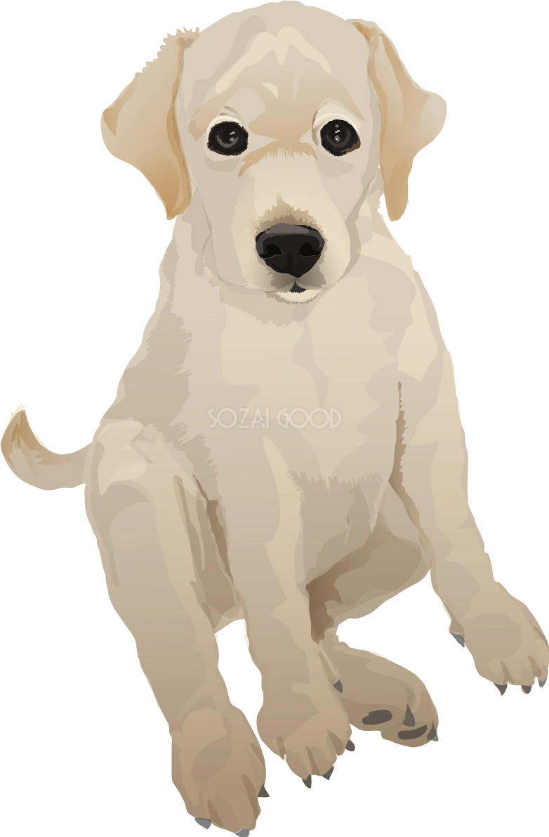 レトリバーのリアルな犬の無料イラスト68151