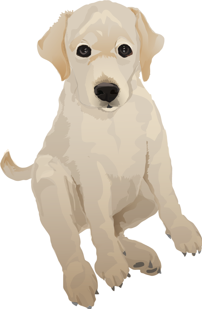 レトリバーのリアルな犬の無料イラスト68151に写真・文字を入れる