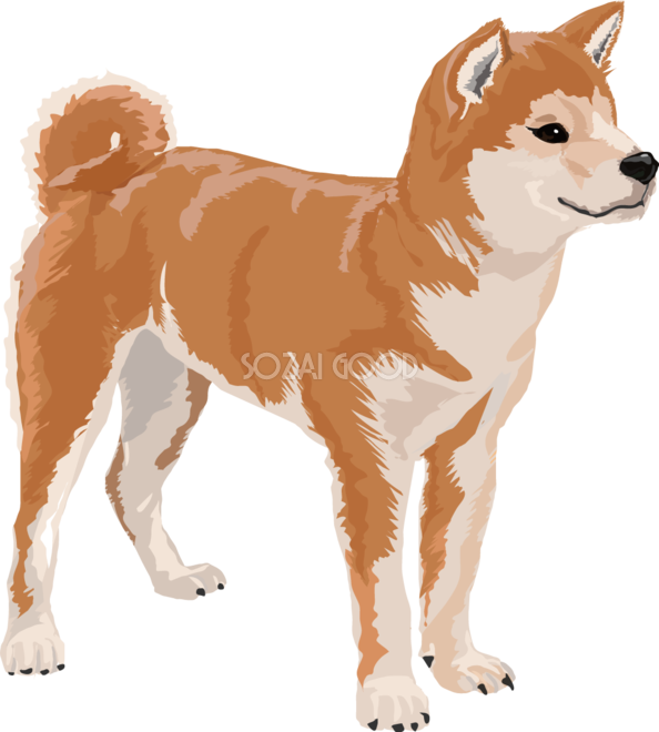 動物画像のすべて 最高リアル 犬 イラスト 手書き