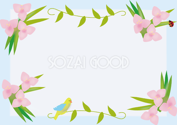 紫露草(むらさきつゆくさ)春4月-7月の花フレーム無料イラスト68660