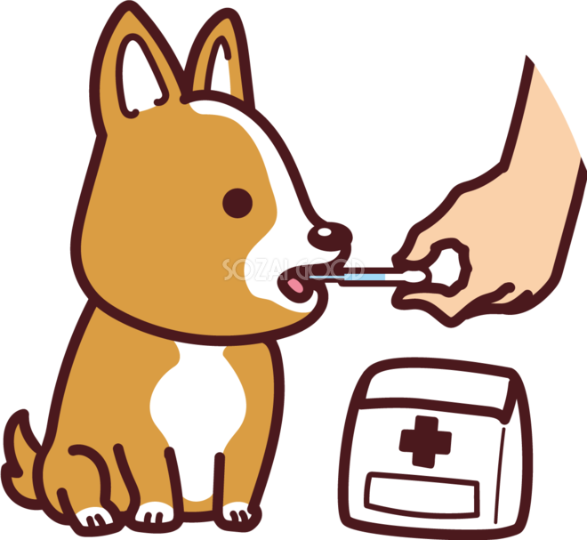 コーギーが薬を飲む かわいい犬の無料イラスト69006 素材good