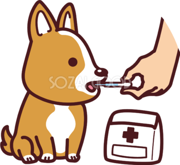コーギーが薬を飲む かわいい犬の無料イラスト69006