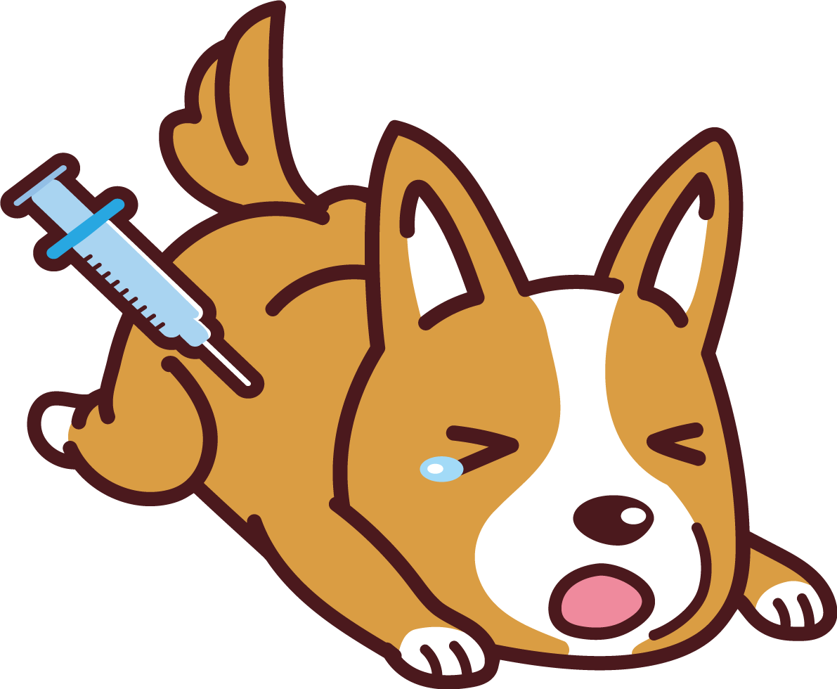 コーギーが予防接種 かわいい犬の無料イラスト69010に写真・文字を入れる