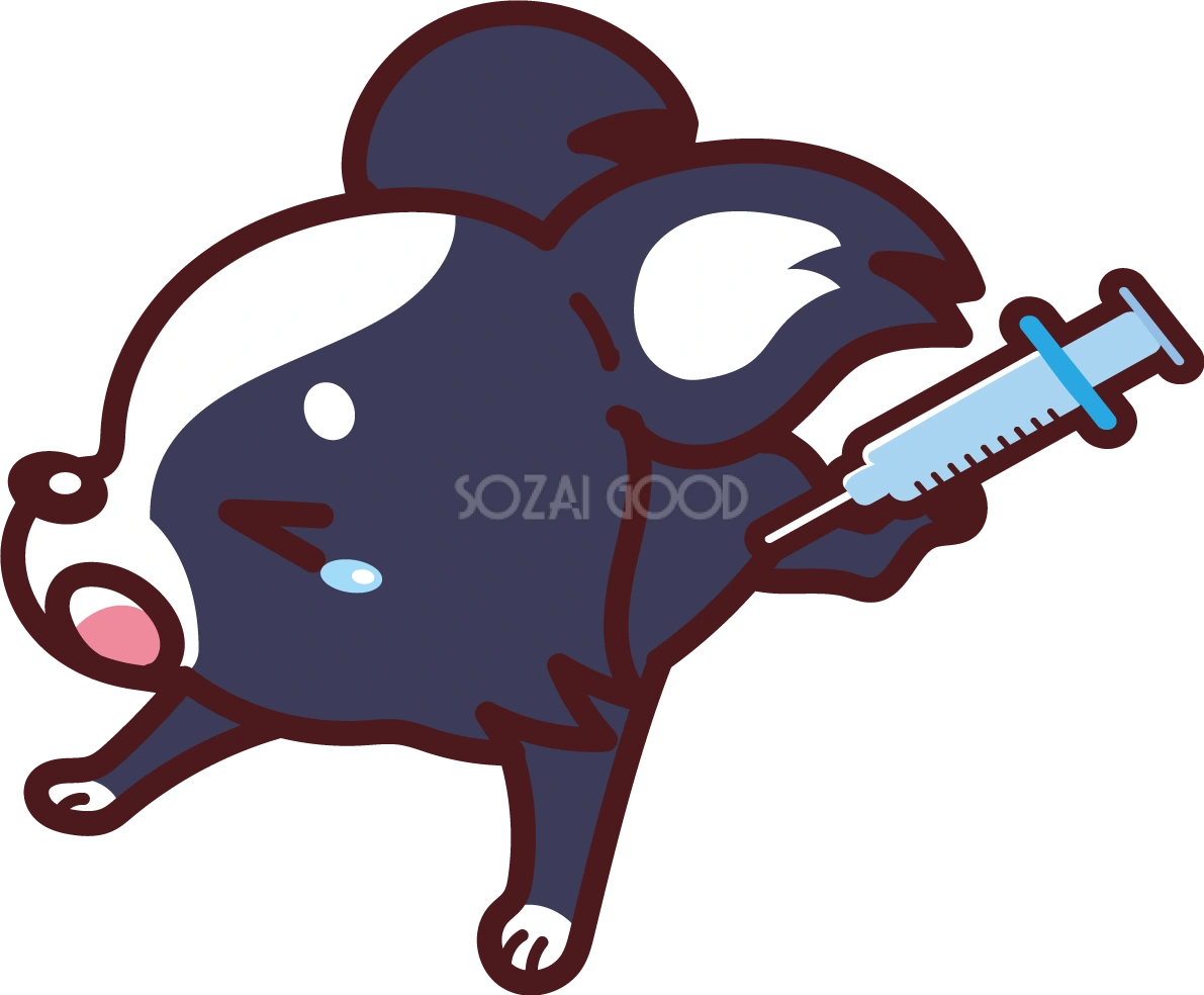 チワワが予防接種 かわいい犬の無料イラスト69064