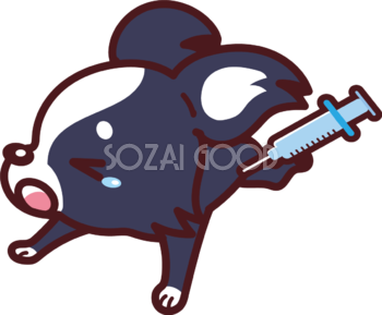 チワワが予防接種 かわいい犬の無料イラスト69064