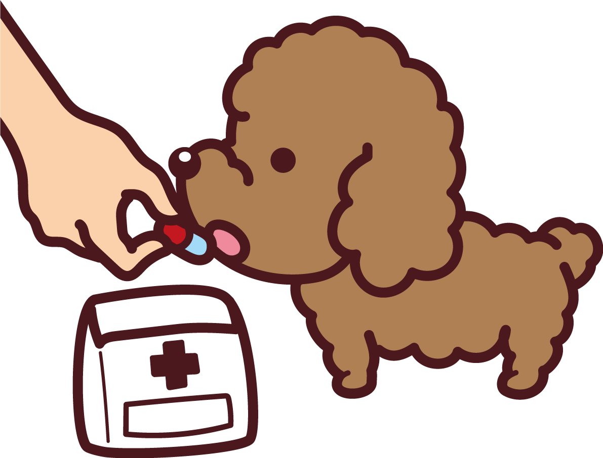 トイプードルが薬を飲む かわいい犬の無料イラスト69117に写真・文字を入れる