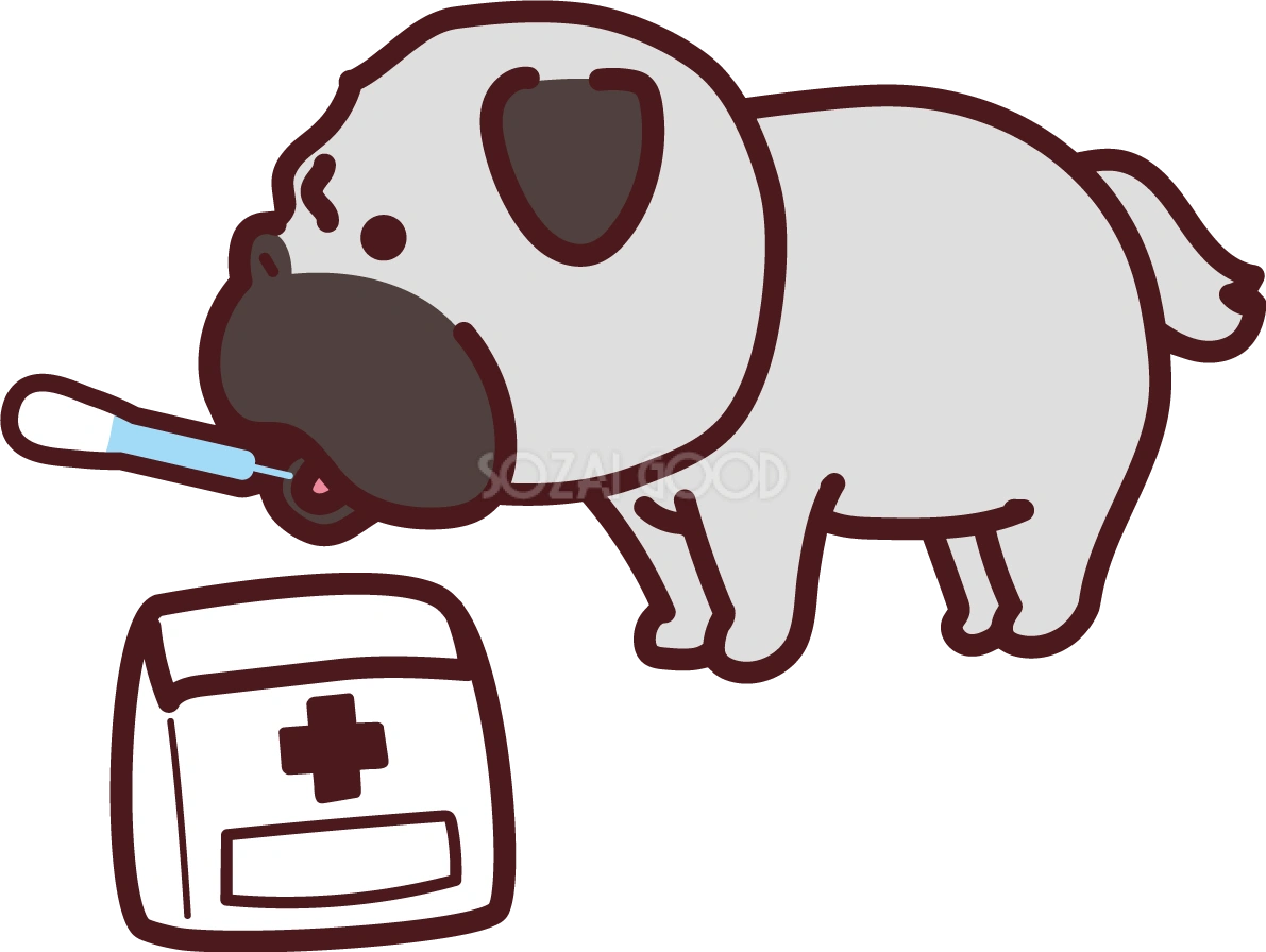 パグが薬を飲む かわいい犬の無料イラスト69219