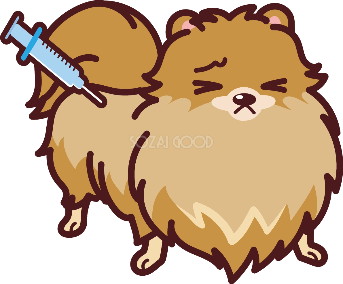 ポメラニアンが予防接種 かわいい犬の無料イラスト69327
