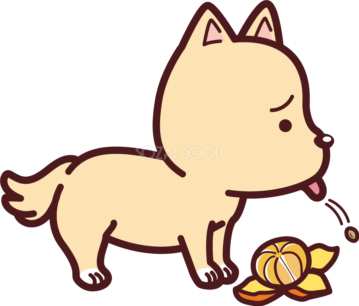 みかんの種は嫌がる犬 かわいい無料イラスト69335