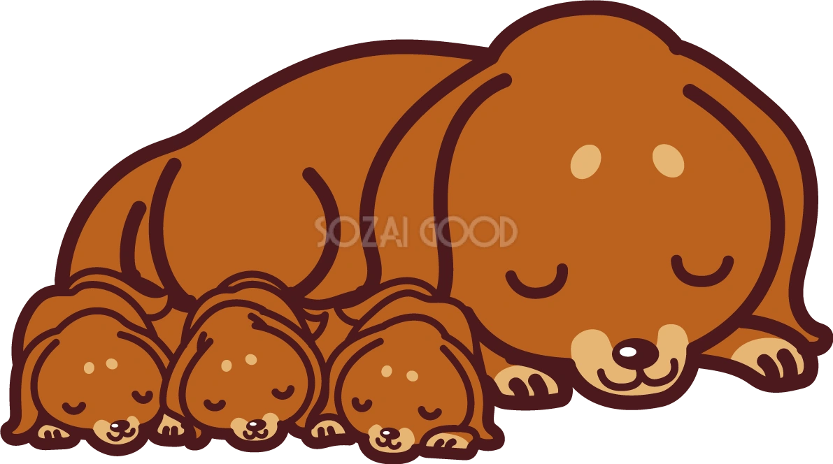 ミニチュア・ダックスフンドが赤ちゃん(子犬(の横に寄り添って眠る かわいい犬の無料イラスト69367