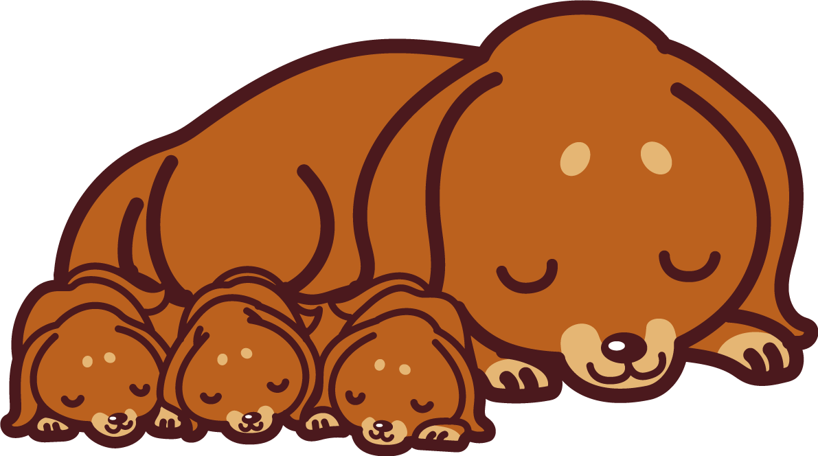 ミニチュア・ダックスフンドが赤ちゃん(子犬(の横に寄り添って眠る かわいい犬の無料イラスト69367に写真・文字を入れる