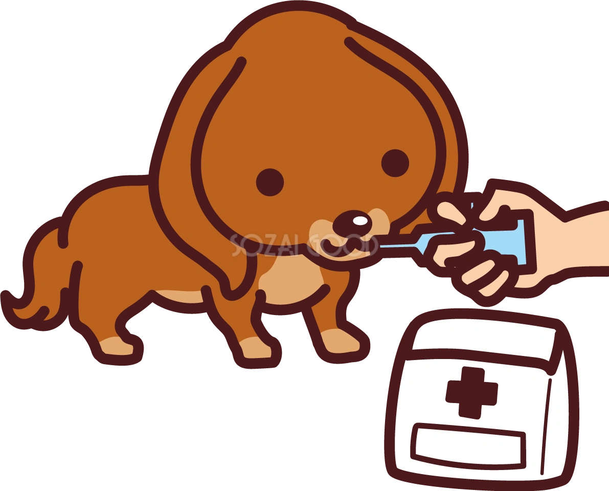 ミニチュア・ダックスフンドが薬を飲む かわいい犬の無料イラスト69387