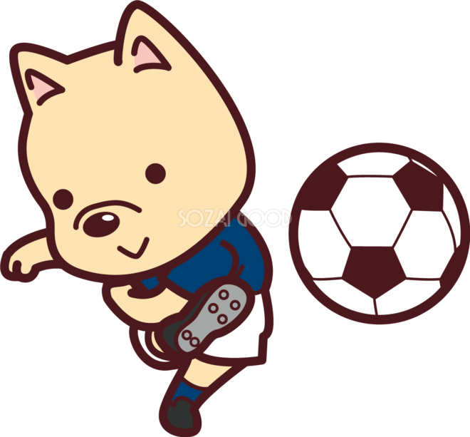 ã‹ã‚ã„ã„çŠ¬ãŒã‚µãƒƒã‚«ãƒ¼ ã‚·ãƒ¥ãƒ¼ãƒˆ ã‚ªãƒªãƒ³ãƒ