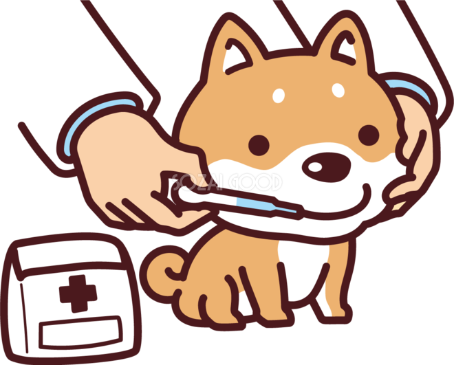 柴犬が薬を飲む かわいい犬の無料イラスト69923 素材good