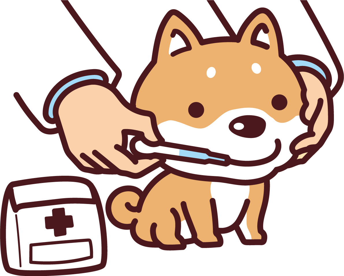 柴犬が薬を飲む かわいい犬の無料イラスト69923に写真・文字を入れる