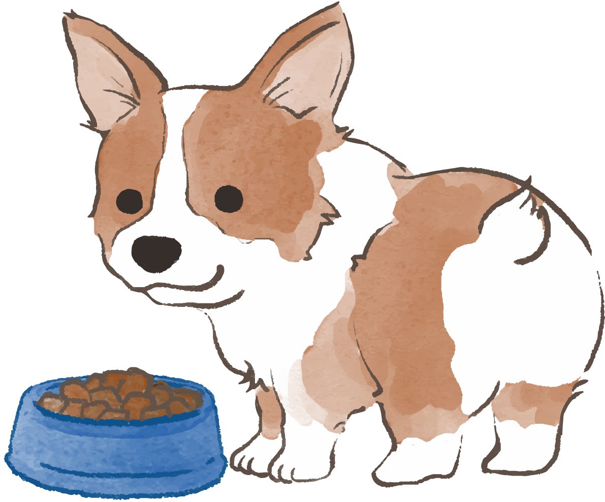 コーギー(ご飯を食べる)かわいい犬の無料イラスト69963に写真・文字を入れる