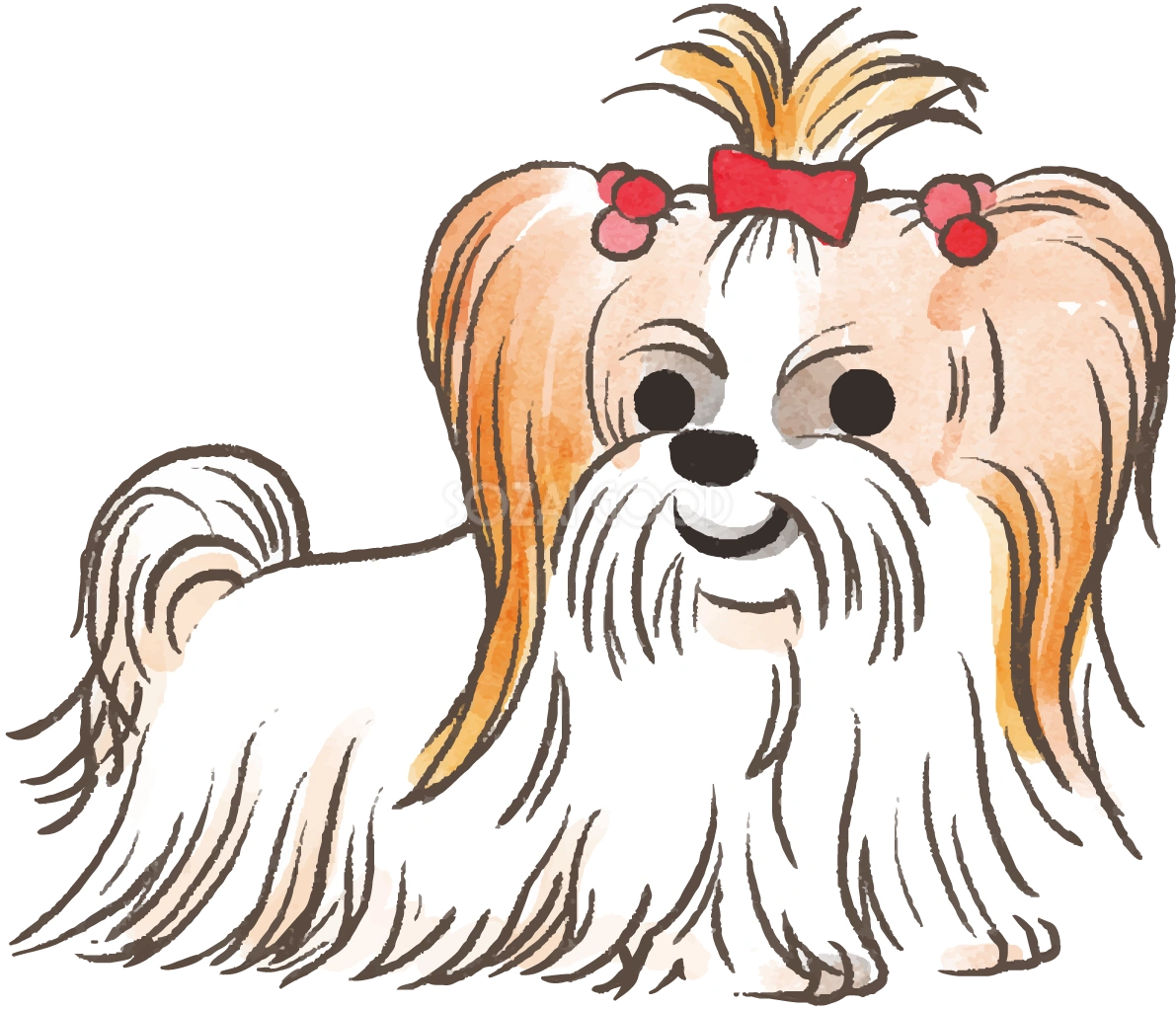 シーズー(おしゃれ)かわいい犬の無料イラスト69983