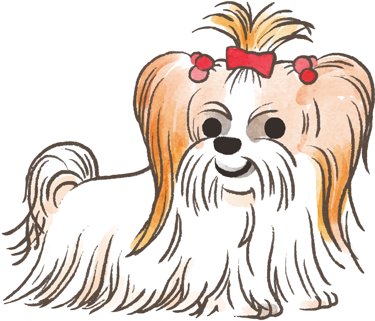 シーズー(おしゃれ)かわいい犬の無料イラスト69983に写真・文字を入れる