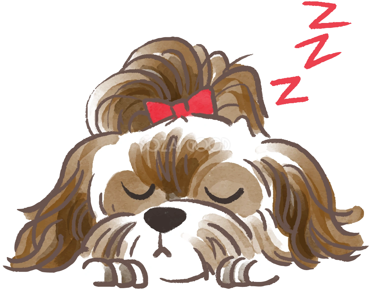 シーズー(寝顔)かわいい犬の無料イラスト69987