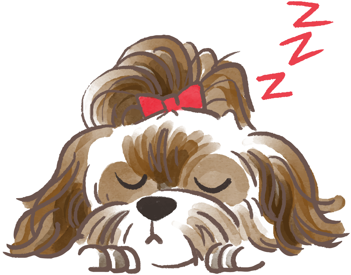 シーズー(寝顔)かわいい犬の無料イラスト69987に写真・文字を入れる