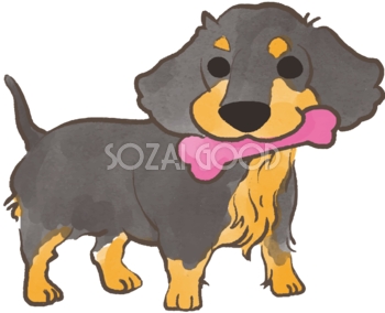 ダックスフンド(おもちゃをくわえた)かわいい犬の無料イラスト69995